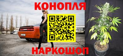 ешки Будённовск