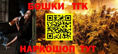 ешки Будённовск