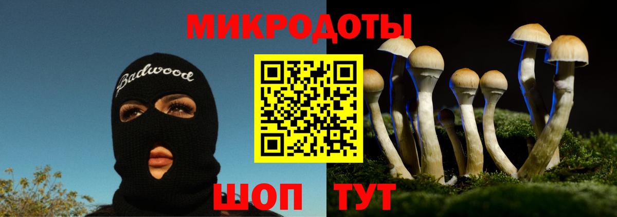 Псилоцибиновые грибы мухоморы  Вход с VPN  Краснотурьинск  Псилоцибиновые грибы GOLDEN TEACHER 